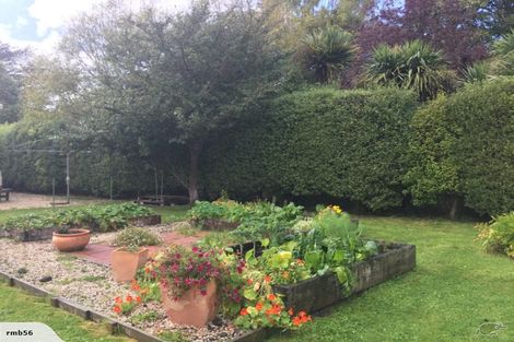 Photo of property in 18 Mclachlan Street, Waitati, 9085