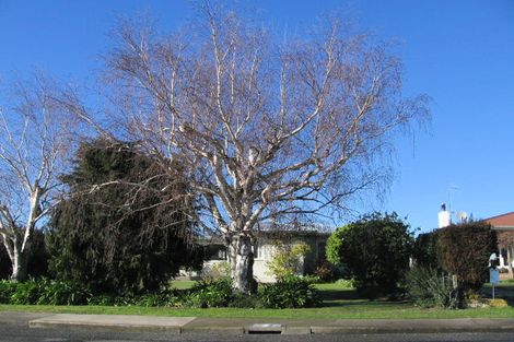 Photo of property in 206 Lumsden Road, Akina, Hastings, 4122