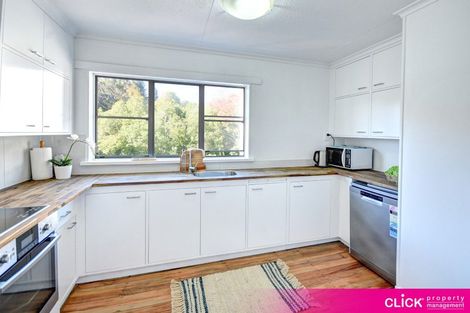 Photo of property in 39 Opoho Road, North East Valley, Dunedin, 9010