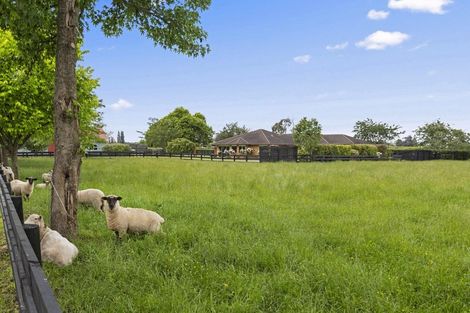 Photo of property in 37 Norrish Road, Ohaupo, 3881