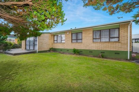 Photo of property in 67 Young Street, Morrinsville, 3300