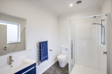 Photo of property in 911 Churchill Street, Akina, Hastings, 4122