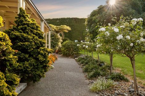 Photo of property in 241 Rea Road, Tahawai, Katikati, 3178