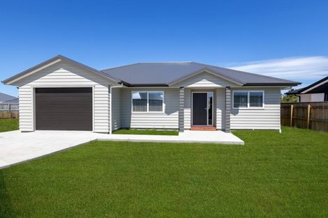 Photo of property in 36 Tuatahi Avenue, Solway, Masterton, 5810