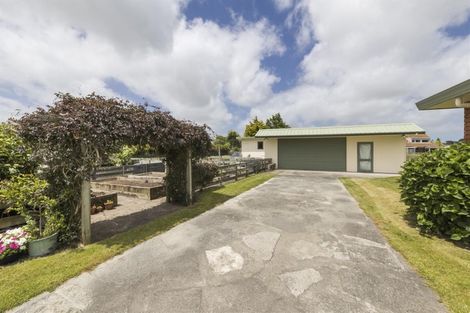 Photo of property in 19 Barnett Drive, Marton, 4710