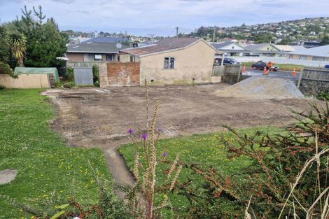 Photo of property in 191 South Road, Caversham, Dunedin, 9012