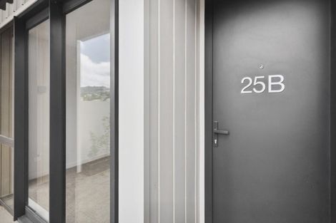 Photo of property in 25b Thompson Street, Mount Cook, Wellington, 6011