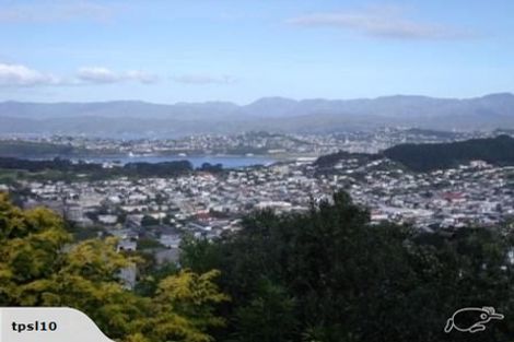 Photo of property in 167 Washington Avenue, Brooklyn, Wellington, 6021