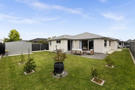 Photo of property in 42 Lochhead Street, Mahora, Hastings, 4120