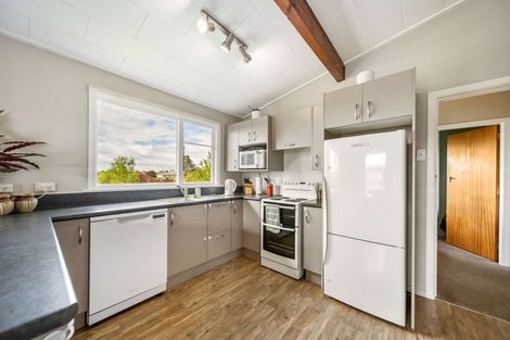 Photo of property in 106 Centennial Avenue, Helensburgh, Dunedin, 9010