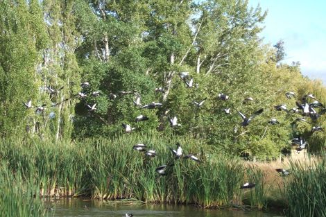 Photo of property in 134 Main South Road, Green Island, Dunedin, 9018