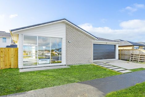 Photo of property in 43 Koroheke Road, Takanini, 2110