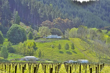 Photo of property in 209 Lake Road, Waituhi, Gisborne, 4072