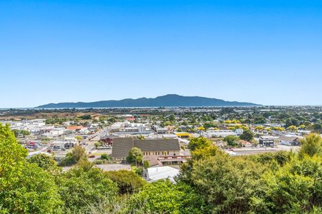 Photo of property in 16 Tongariro Street, Paraparaumu, 5032