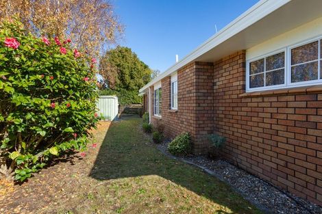 Photo of property in 41b Lotus Avenue, Mount Maunganui, 3116