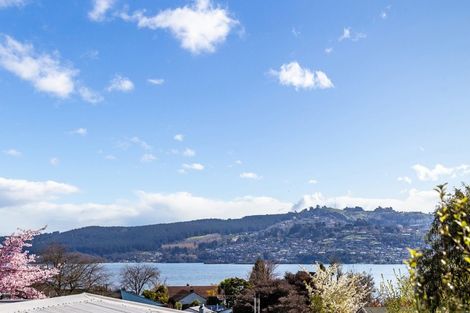 Photo of property in 48 Henry Hill Road, Taupo, 3330