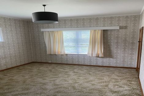 Photo of property in 46 Haultain Street, Fairfield, Hamilton, 3214