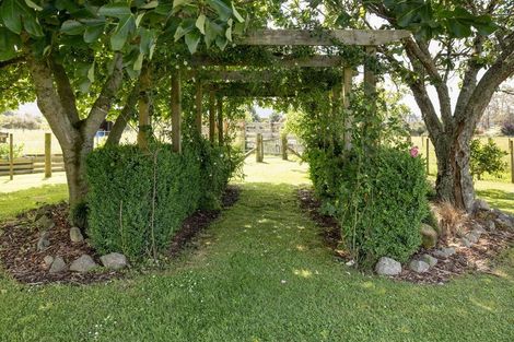 Photo of property in 398 Hallett Road, Otakiri, Whakatane, 3192