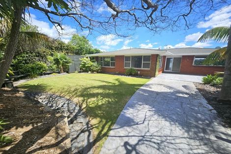 Photo of property in 52 Vine Avenue, Maungatapu, Tauranga, 3112