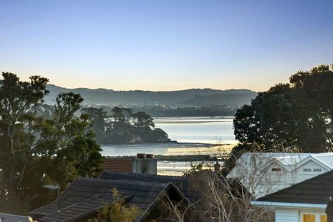 Photo of property in 233 Jervois Road, Herne Bay, Auckland, 1011