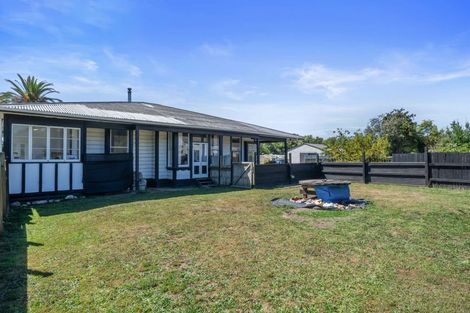 Photo of property in 24a Mckenzie Street, Levin, 5510
