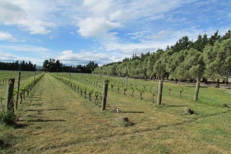 Photo of property in 246 Georges Road, Glasnevin, Amberley, 7482