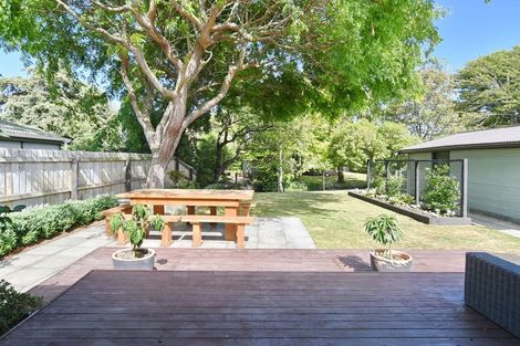 Photo of property in 29 Palmside Street, Somerfield, Christchurch, 8024