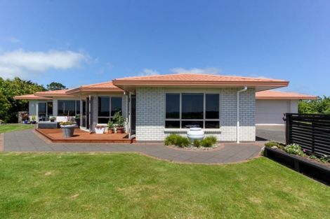 Photo of property in 171 Sealy Road, Omata, New Plymouth, 4374