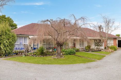 Photo of property in 135a Totara Street, Riccarton, Christchurch, 8041