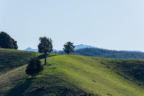 Photo of property in 14a Totara View Road, Wakefield, 7095