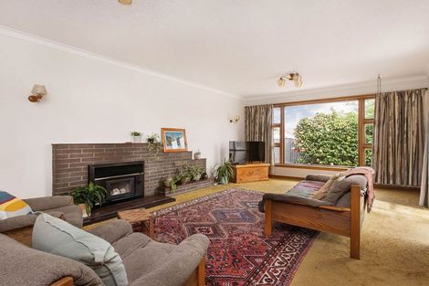 Photo of property in 24 Donegal Street, Belfast, Christchurch, 8051