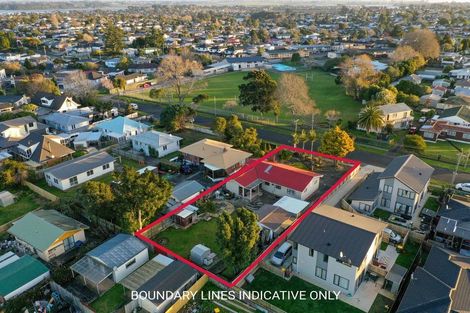 Photo of property in 19 Totara Road, Manurewa, Auckland, 2102
