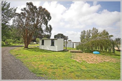 Photo of property in 296 Motuiti Road, Foxton, 4891