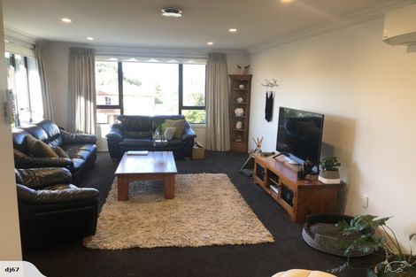 Photo of property in 17 Maple Avenue, Dinsdale, Hamilton, 3204