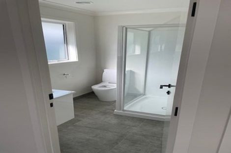 Photo of property in 117 Limbrick Street, Terrace End, Palmerston North, 4410