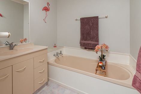 Photo of property in 1/1291 Alexandra Street, Te Awamutu, 3800