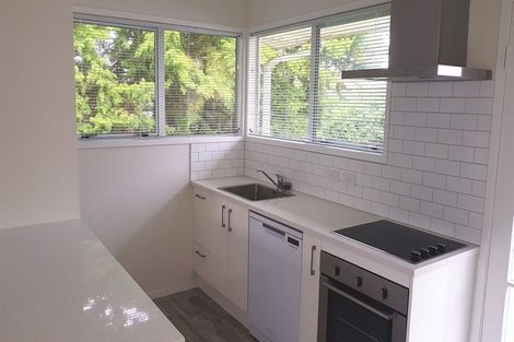 Photo of property in 20 Stanaway Street, Hillcrest, Auckland, 0627