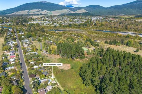 Photo of property in 12 Te Herekiekie Street, Turangi, 3334
