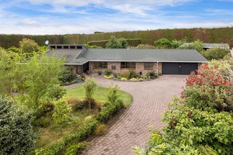 Photo of property in 92 Pukakura Road, Katikati, 3178