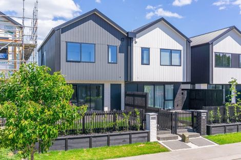 Photo of property in 50 Musselwhite Terrace, Chartwell, 3210