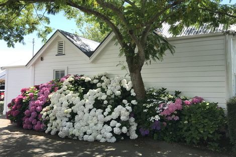 Photo of property in 43 Dover Street, St Albans, Christchurch, 8014