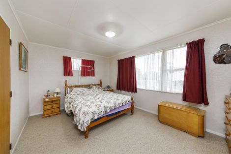 Photo of property in 202 Salisbury Street, Ashhurst, 4810