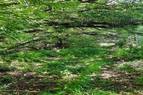 Photo of property in 746 Clutha River Road, Rongahere, Balclutha, 9274