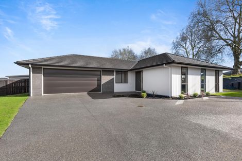 Photo of property in 41 Rawiri Street, Morrinsville, 3300
