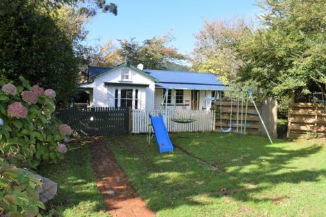 Photo of property in 45 Honi Taipua Street, Manakau, Levin, 5573