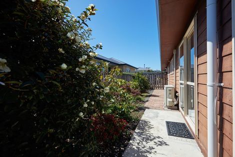 Photo of property in 141a Beach Road, Kaikoura, 7300