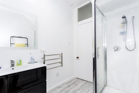 Photo of property in 41a Garfield Avenue, Roslyn, Dunedin, 9010