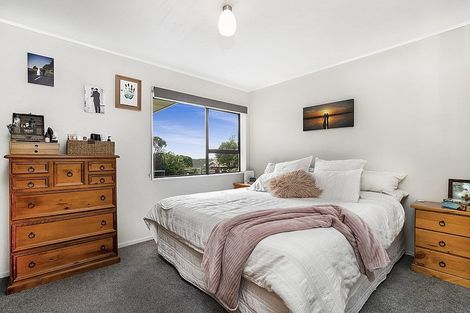 Photo of property in 163 Wellington Street, Pukekohe, 2120