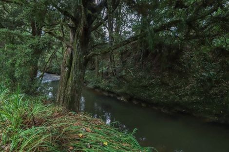 Photo of property in 10 Totara Grove, Hillcrest, Auckland, 0627