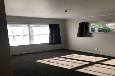 Photo of property in 217 Hill Street, Richmond, 7020